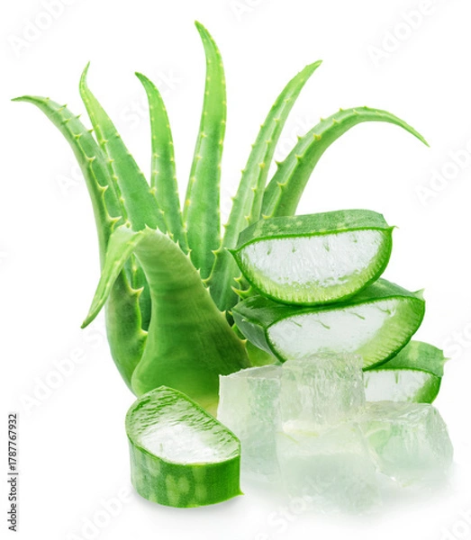 Fototapeta Stack of three aloe vera slices and aloe vera plant, macro shot isolated on white background.