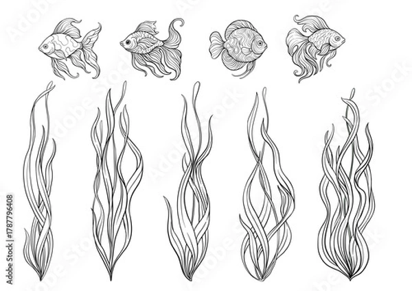 Fototapeta Aquarium set with ornamental fish and swaying seaweed. Vector illustrations in color and outline, detailed flowing fins and green aquatic plants for marine decor, pet habitat designs