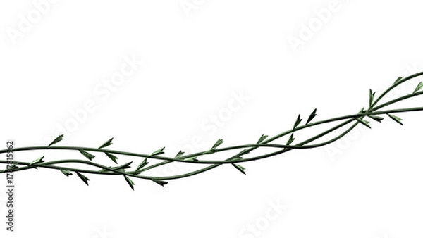 Obraz Green twisted plant twigs background. Jungle vines branches wide banner isolated. 3D rendering