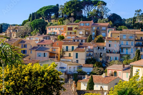Obraz Vue sur le village de Bormes-les-Mimosas en fevrier, les mimosas en fleurs.