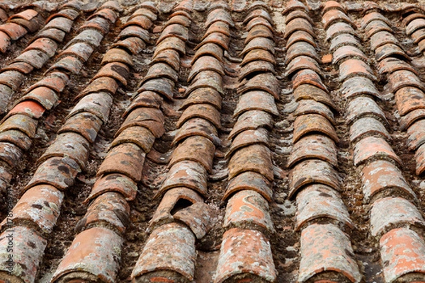 Obraz Old roof