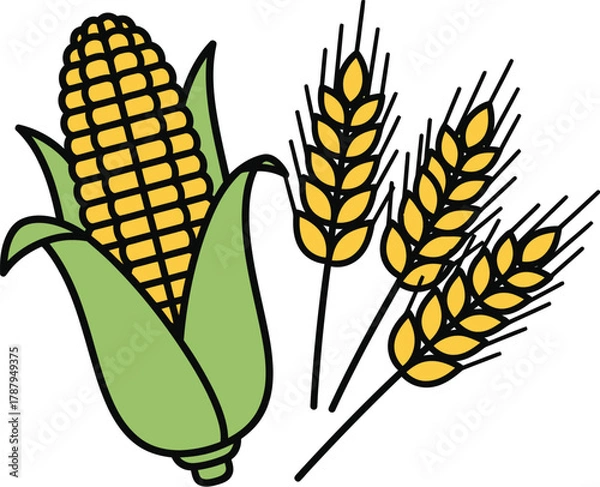 Obraz Corn and wheat, a symbol of harvest season