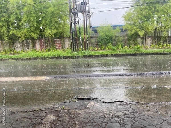 Obraz river in the forest