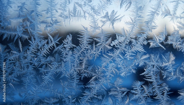 Obraz Frosty Window with Snowflakes