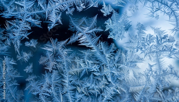Obraz Frosty Window with Snowflakes