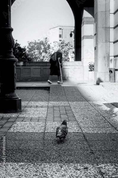 Fototapeta Two Tourists On The Yard