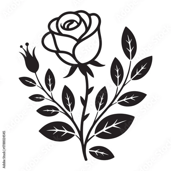 Fototapeta Rose flower vector