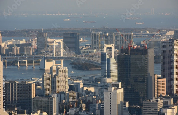 Obraz 日本の東京都市景観「東京湾や“お台場”方面を望む」
