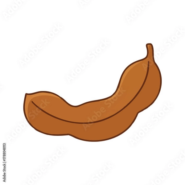 Obraz Brown tamarind pod with cute curved shape,