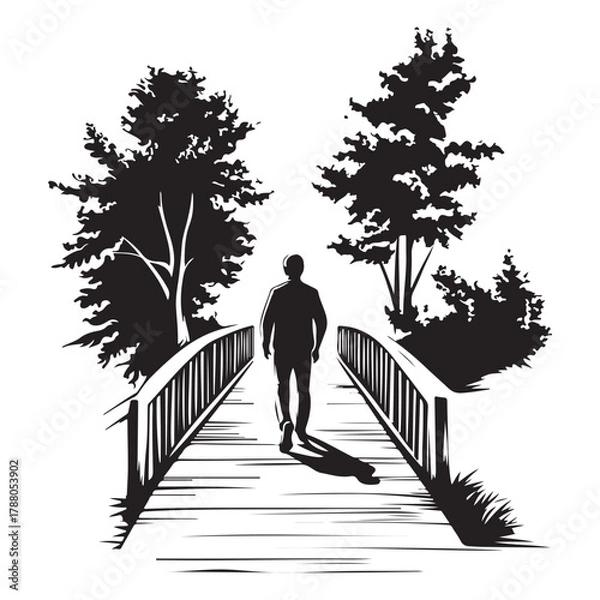 Fototapeta Silhouette of a man standing between two trees with a bench next to one tree