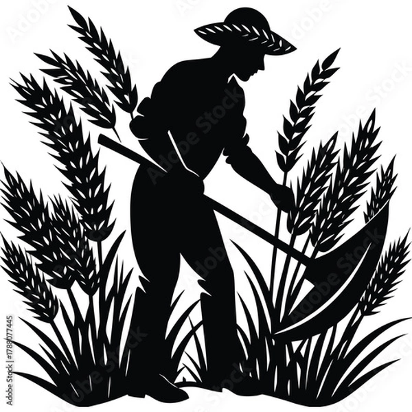 Fototapeta Farmer Silhouette Harvesting Wheat Grain Crops Using Sickle on White Background