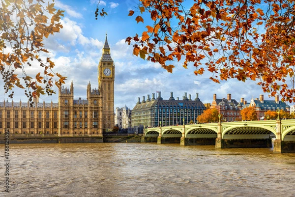 Fototapeta Beautiful view of the Big Ben clocktower and Westminster Palace in London during a sunny autumn day with golden leaves on the trees