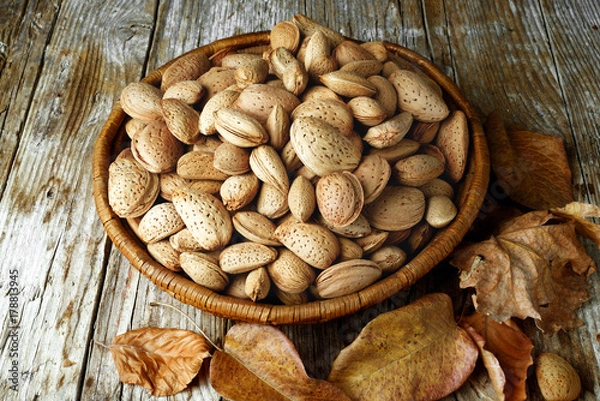 Obraz mandorle su legno vecchio