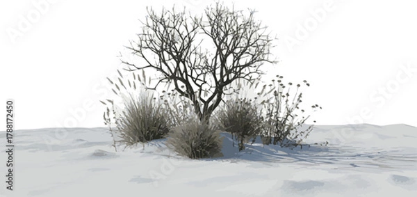 Fototapeta Create Dried shrub and small plants in snow isolated on white Background.
