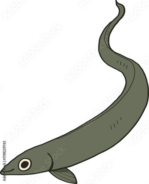 Obraz Cartoon Illustration of an Eel