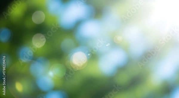 Fototapeta Abstract Soft Light Bokeh Green and Blue Nature Background Graphic