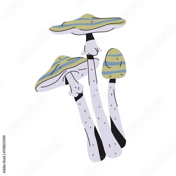Obraz Blue oyster mushroom or hiratake, pearl fungus. Vector autumn pleurotus ostreatus. Forest and woodland tree species. Fungi growth icon for study. Mycology and forage element. Biology and botany