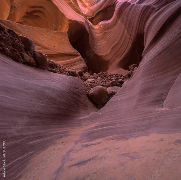 Fototapeta OLYMPUS DIGITAL CAMERA