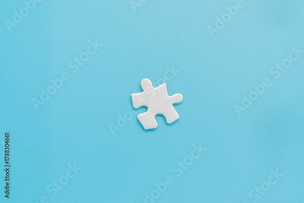 Obraz Single jigsaw puzzle on light blue background