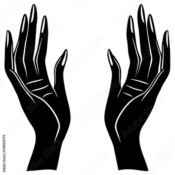 Fototapeta Elegant pair of hands reaching upwards
