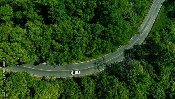 Fototapeta Car in rural road in deep rain forest with green tree forest view from above, Aerial view car in the forest on asphalt road background, Electric vehicle EV car drive asphalt road green tree forest