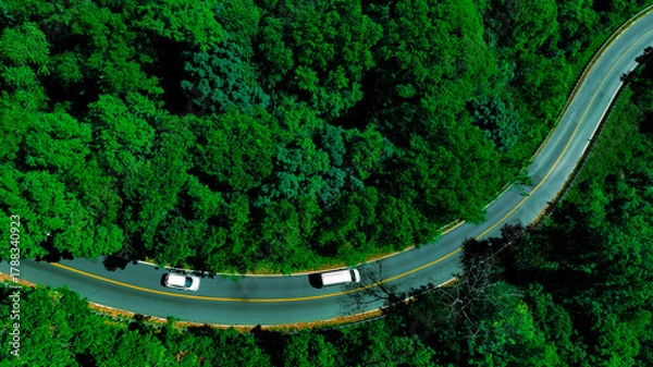 Fototapeta Car in rural road in deep rain forest with green tree forest view from above, Aerial view car in the forest on asphalt road background, Electric vehicle EV car drive asphalt road green tree forest
