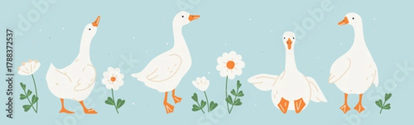 Obraz Cute white geese or ducks and camomile flowers. Hand drawn farm animals geese with decorative floral elements. Vector illustration for baby shower, Easter, nursery, t-shirt logo, card, poster, invitat