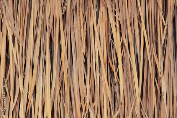 Obraz the  background of stripe  brown thatch  texture