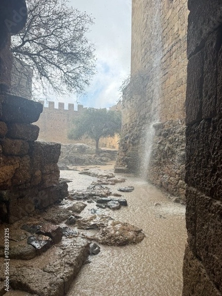 Obraz Rain at Castle