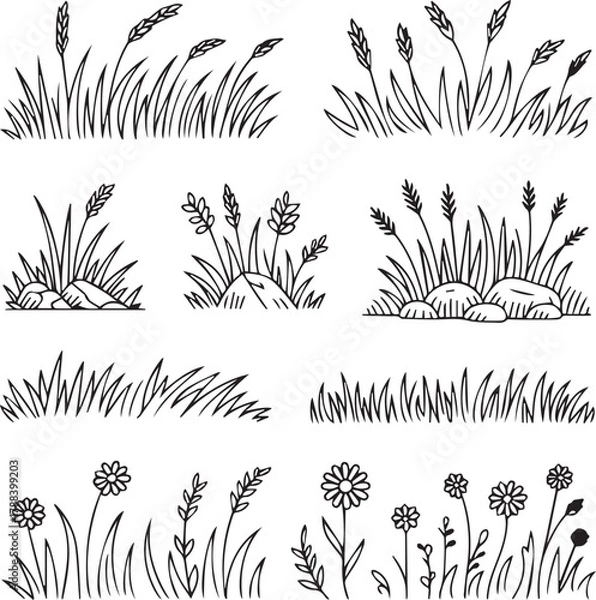 Fototapeta A collection of hand drawn grass and flower illustrations in black and white style