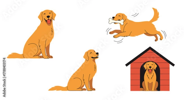 Fototapeta Adorable golden retrievers depicted in various happy poses, from playful outdoor activities to resting comfortably in their dog house.