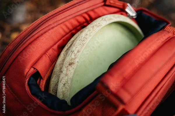 Fototapeta putters in the bag