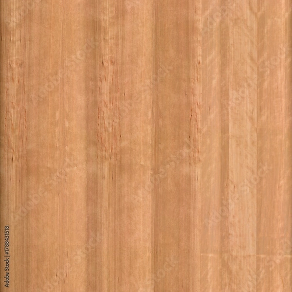 Obraz Quarter-Sawn Sapele Texture