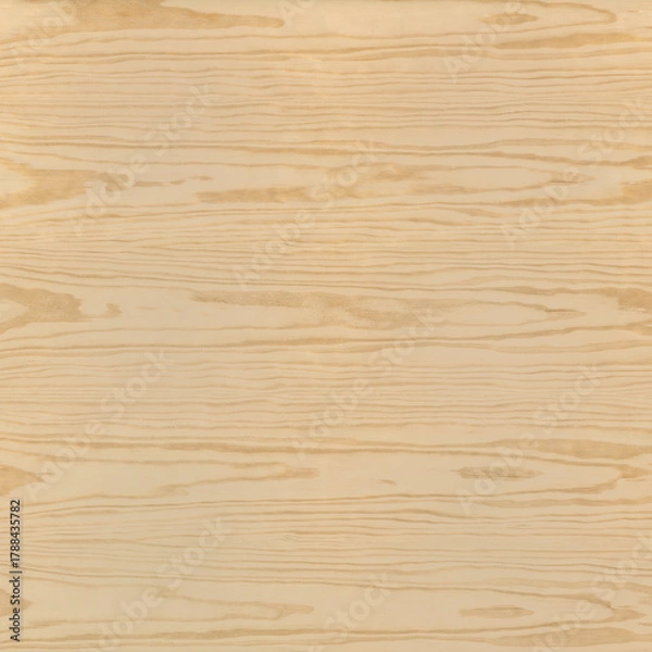 Obraz Light Brown Pine Wood Texture