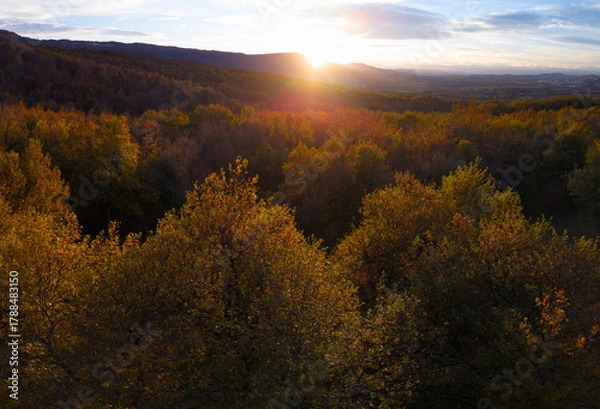 Fototapeta Autumn landscape on the Route of the Ancient Oaks of Okariz and Munain in the Sierra de Entzia mountain range in the province of Álava, Basque Country, Spain, Europe