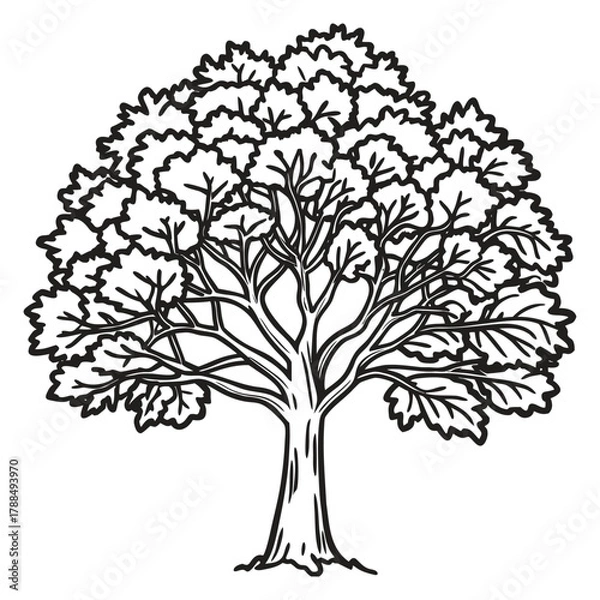 Fototapeta Black silhouette of a tree with detailed roots and foliage