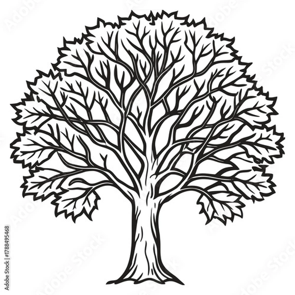 Fototapeta Black silhouette of a tree with detailed roots and foliage