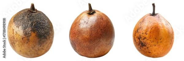 Fototapeta Three pears at different stages of ripeness. Showing the stages of decay in fruit