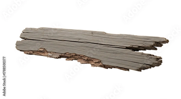 Fototapeta Weathered Piece of Wood Bark Against a White Background | Macro Shot Texture