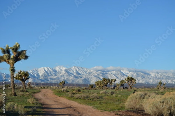 Obraz Mountain Scenes