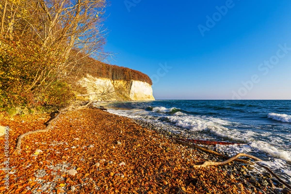 Obraz Kreidefelsen im Herbst an der Küste der Ostsee auf der Insel Rügen