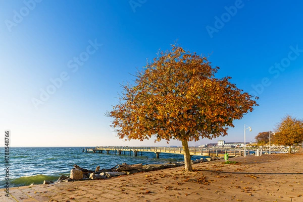 Fototapeta Promenade und Seebrücke im Herbst in der Stadt Sassnitz auf der Insel Rügen