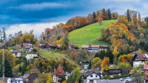 Fototapeta Built-up mountainside with houses, gardens and forests, autumnal colored under cloudy sky, steep meadow with single tree, village on hill, old and new house and autumn trees