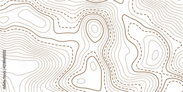 Obraz Luxury gold abstract topographic map background with golden lines  texture, wallpaper design for fabric , packaging , web, geographic grid map vector illustration.