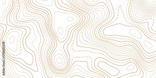 Obraz Luxury gold abstract topographic map background with golden lines  texture, wallpaper design for fabric , packaging , web, geographic grid map vector illustration.