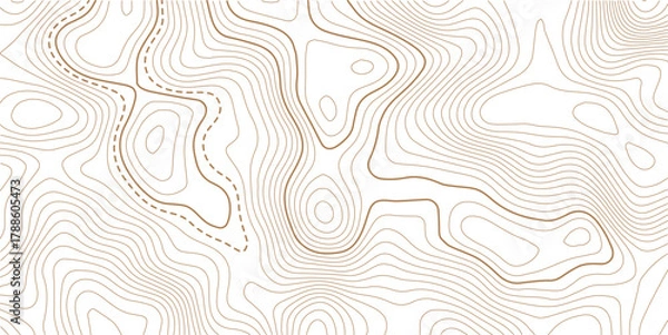 Obraz Luxury gold abstract topographic map background with golden lines  texture, wallpaper design for fabric , packaging , web, geographic grid map vector illustration.