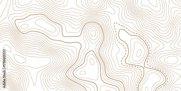 Obraz Luxury gold abstract topographic map background with golden lines  texture, wallpaper design for fabric , packaging , web, geographic grid map vector illustration.