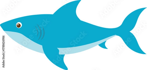 Fototapeta vector illustration of shark on isolated background