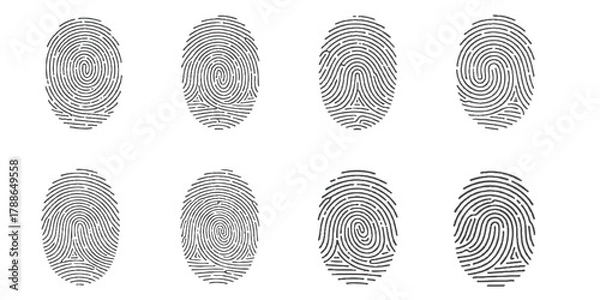 Fototapeta Abstract fingerprint security pattern set for digital identity access isolated on white background