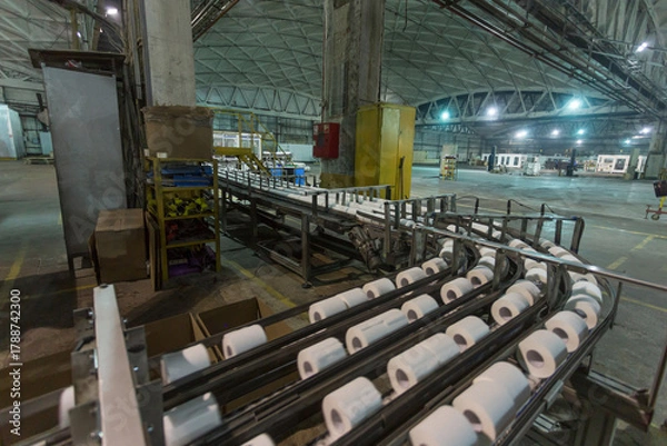 Fototapeta A conveyor belt at a toilet paper factory.